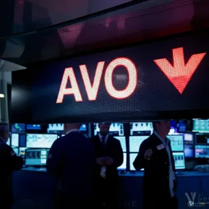 Broadcom Shares Slide as Margin Pressures Dampen AI Euphoria