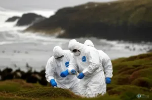 H5N1 Mutations Signal 'Increasing Flexibility' for Mammalian Infection, Raising Global Pandemic Alarm